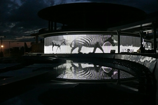 expo2008_led_fassade_zebras-2