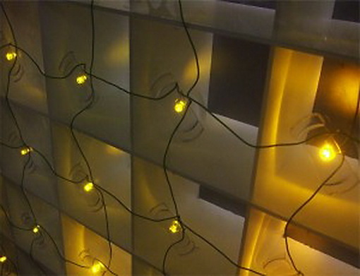 dscf7024-1-300x225