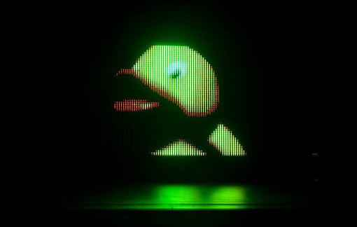 fn_duck